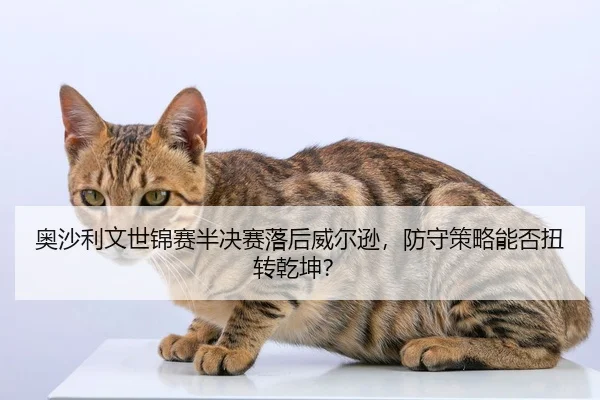 奥沙利文世锦赛半决赛落后威尔逊，防守策略能否扭转乾坤？