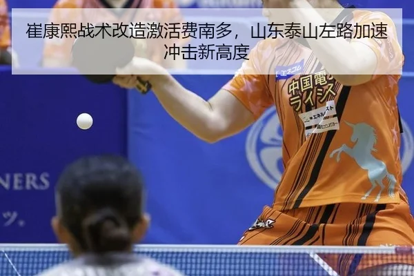 cui-kang-xi-zhan-shu-gai-zao-ji-huo-fei-nan-duo-shan-dong-tai-shan-zuo-lu-jia-su-chong-ji-xin-gao-du-3-676.jpg